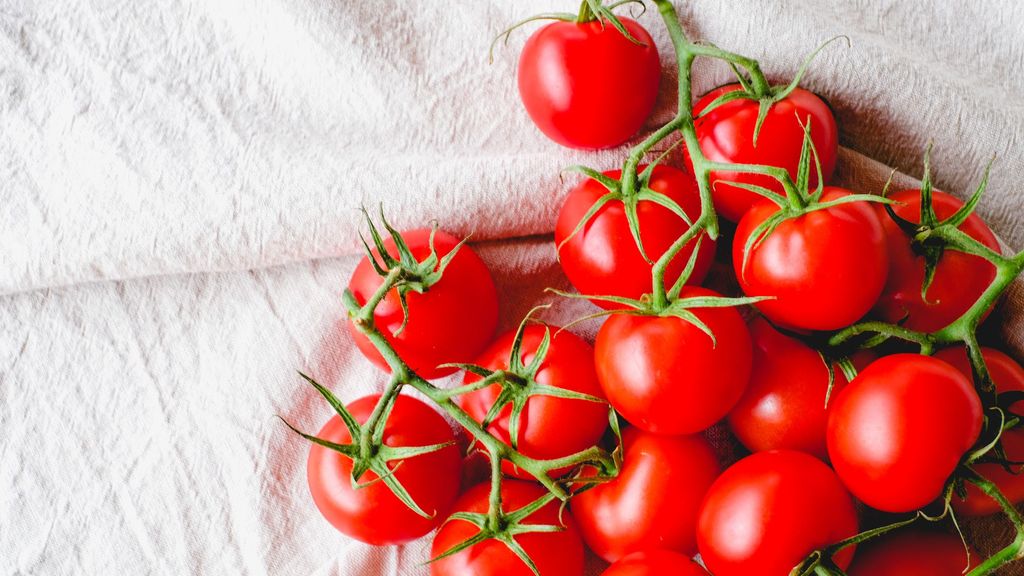 Los tomates cherry, tras un brote de salmonelosis