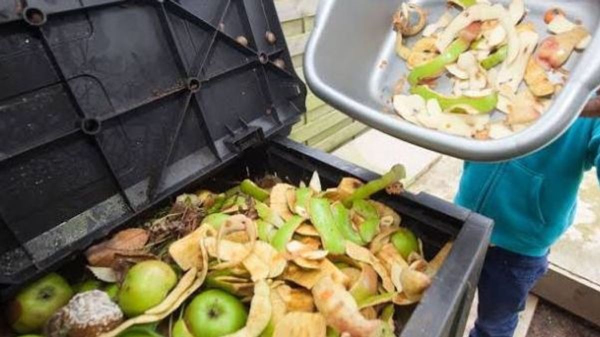 Cuando los alimentos terminan en la basura