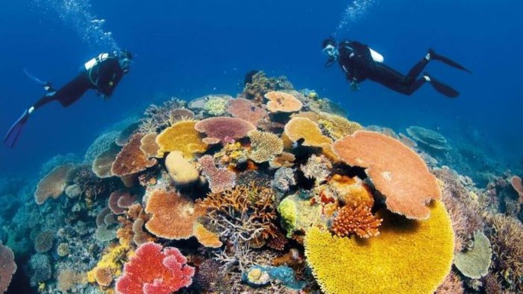 La Gran Barrera de Coral no entrará en la lista de los patrimonios de la Humanidad en peligro