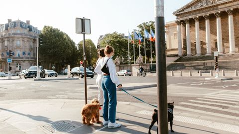 los perros pueden viajar en el metro de paris