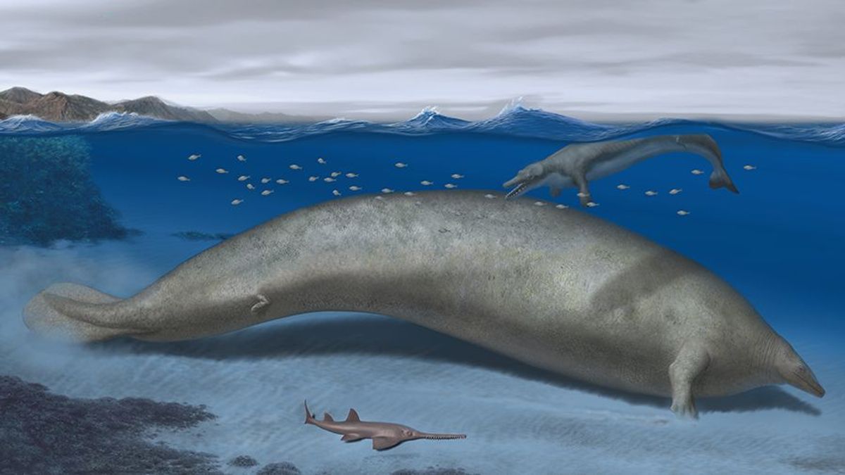 Reconstrucción artística del coloso Perucetus