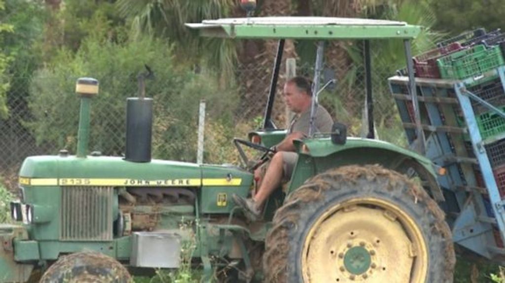 Xavier Oliva cosecha sandías con su tractor