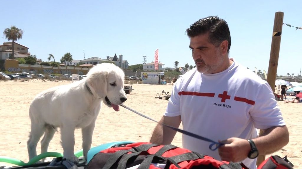 El perro socorrista de la Cruz Roja junto a su adiestrador