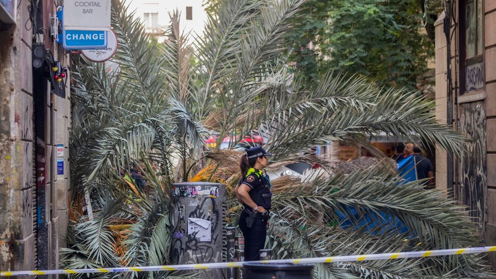 Un nido de grandes dimensiones, posible causa de la caída de la palmera por la que ha muerto una joven en Barcelona