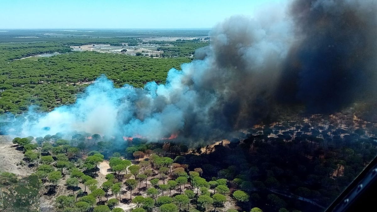 Más de 70 efectivos trabajan para extinguir un incendio declarado en un paraje de Bonares