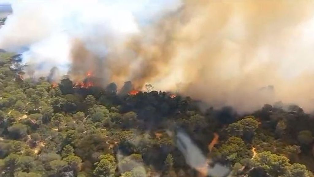 Declarado un incendio forestal en Puerto Real que obliga a cortar la AP-4 en el kilómetro 104
