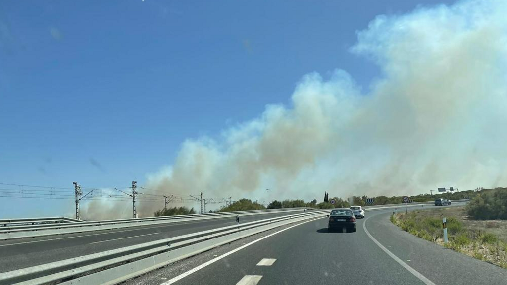 Incendio en Puerto Real que activa el nivel 1 de alerta