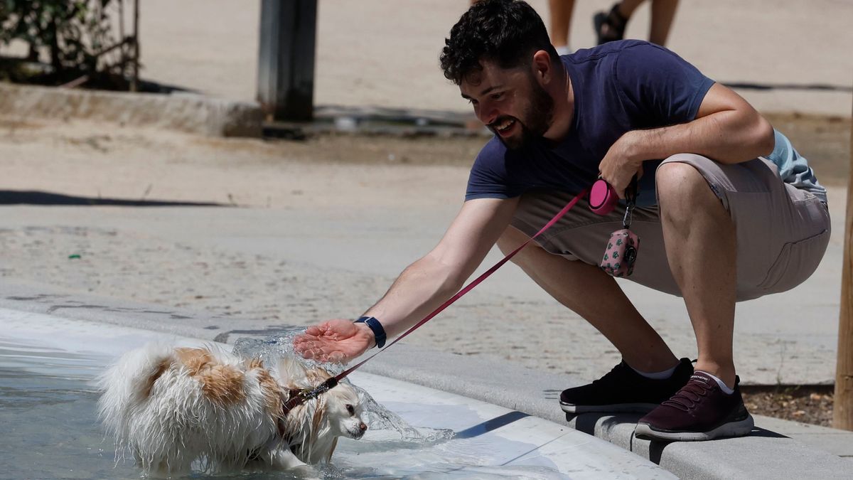 El calor pone en alerta a España