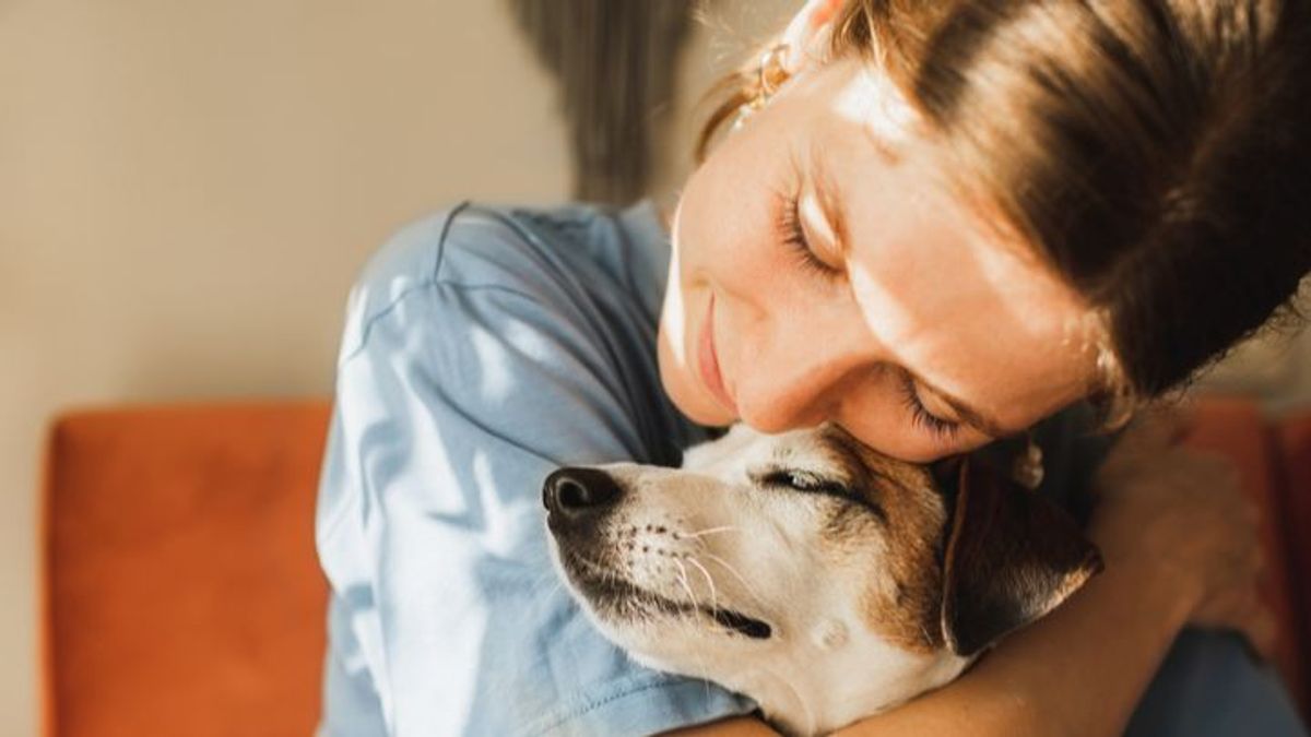 Un divorcio con mascota: el debate sobre cómo organizar los gastos y la custodia del animal