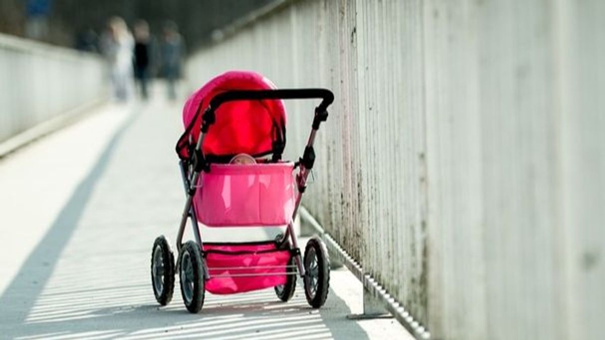 Carrito bebé Carrito bebé