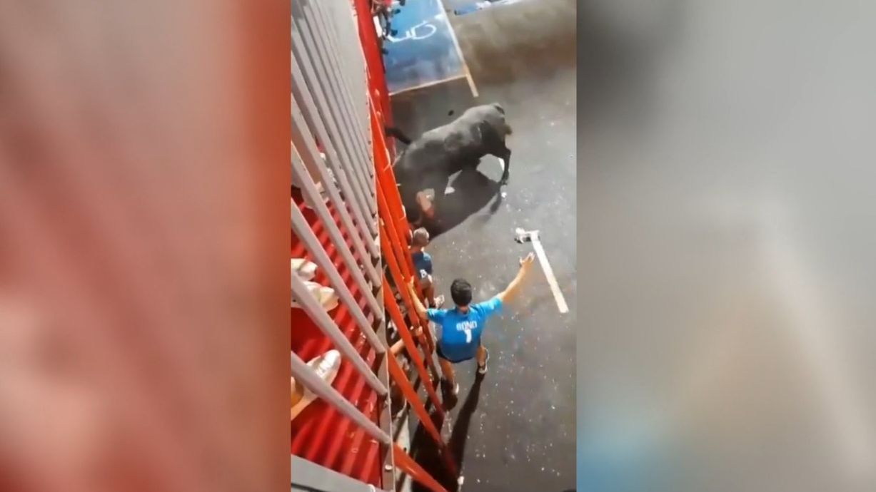 Grave cogida en los 'bous al carrer' de Calpe