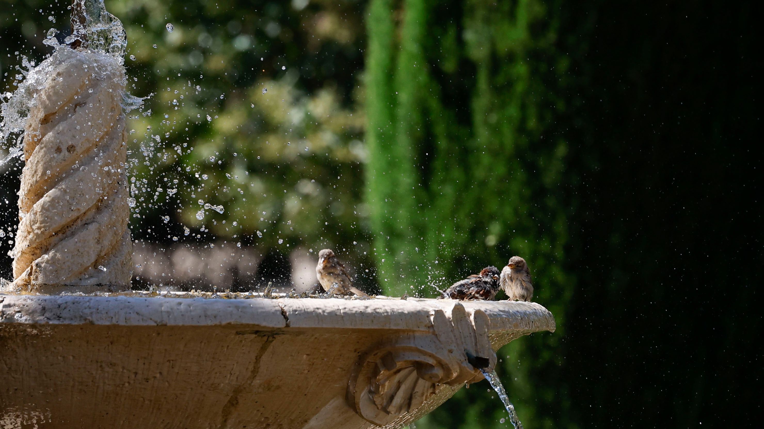 La Aemet activa la alerta roja en Madrid por hasta 44 grados