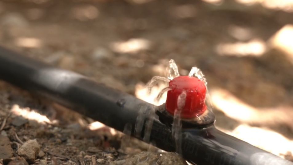 Multas para los egoístas que se saltan las prohibiciones en zonas donde la sequía es más severa