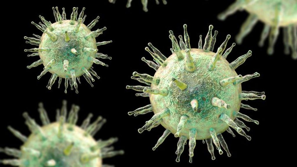 Crean una vacuna experimental contra el virus de Epstein-Barr, causante de la mononucleosis