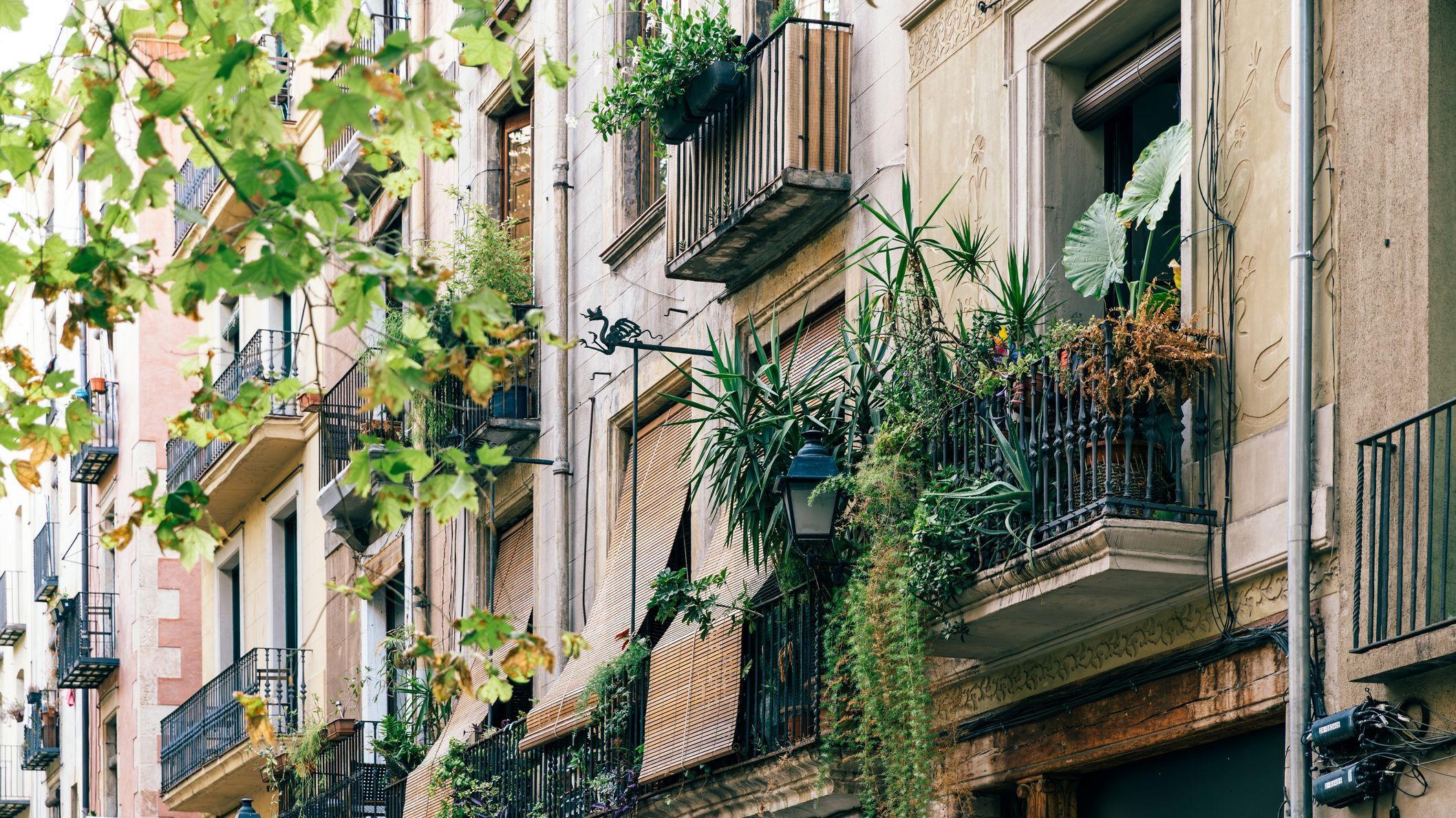Más plantas en los balcones, sí, pero tambien menos coches. Una cosa no sirve sin la otra.