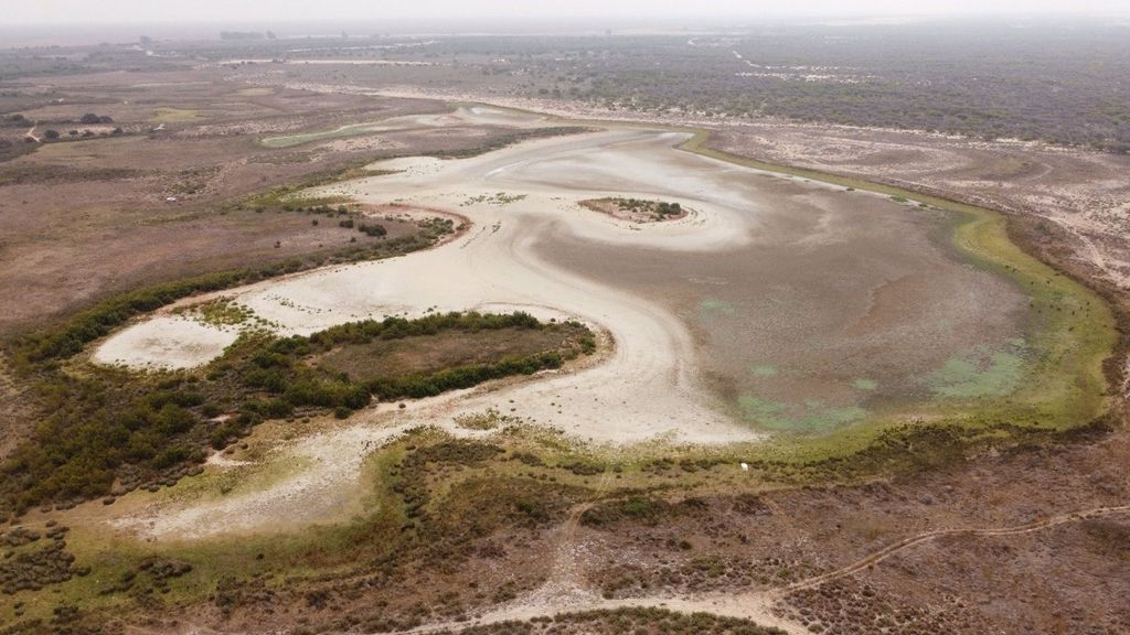 La laguna más grande de Doñana, totalmente seca