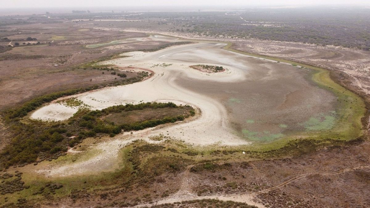 La laguna más grande de Doñana, totalmente seca