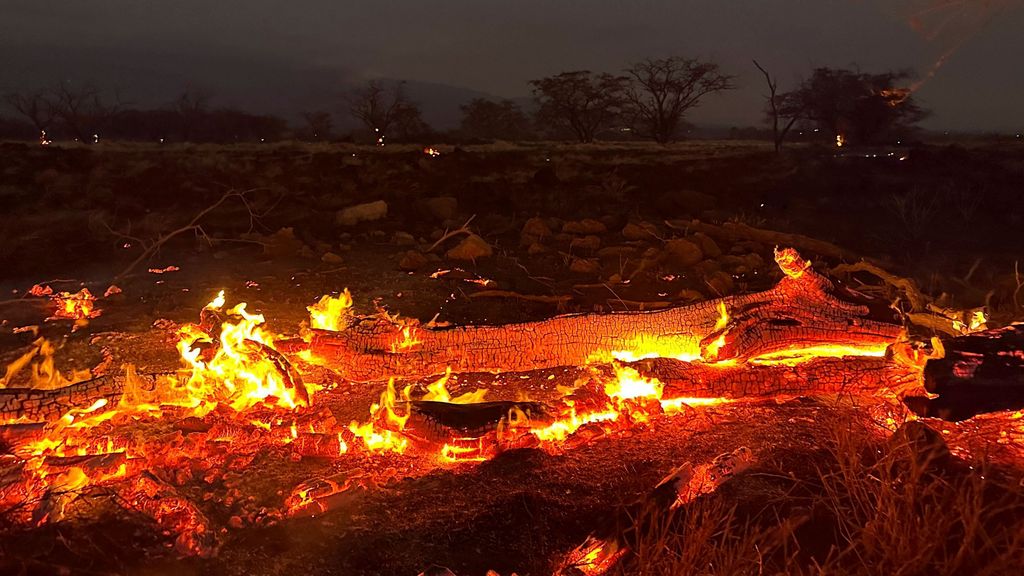 Hawaii Wildfires Damage