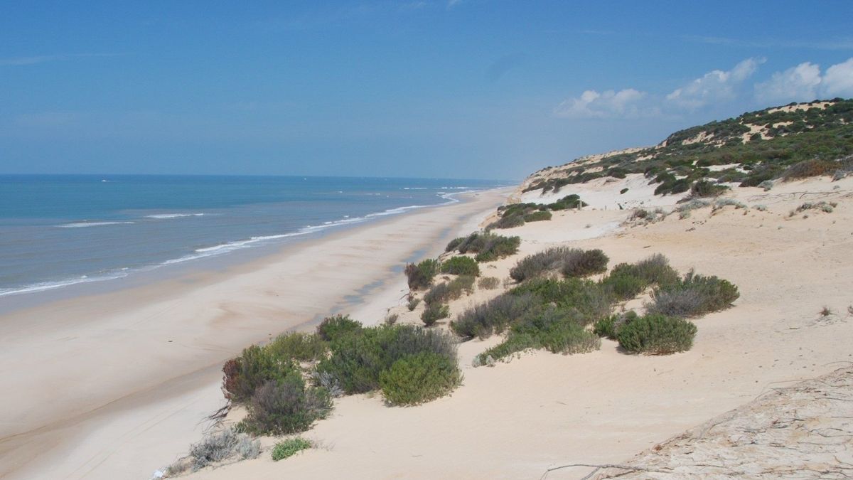 Playa de Doñana, en Huelva