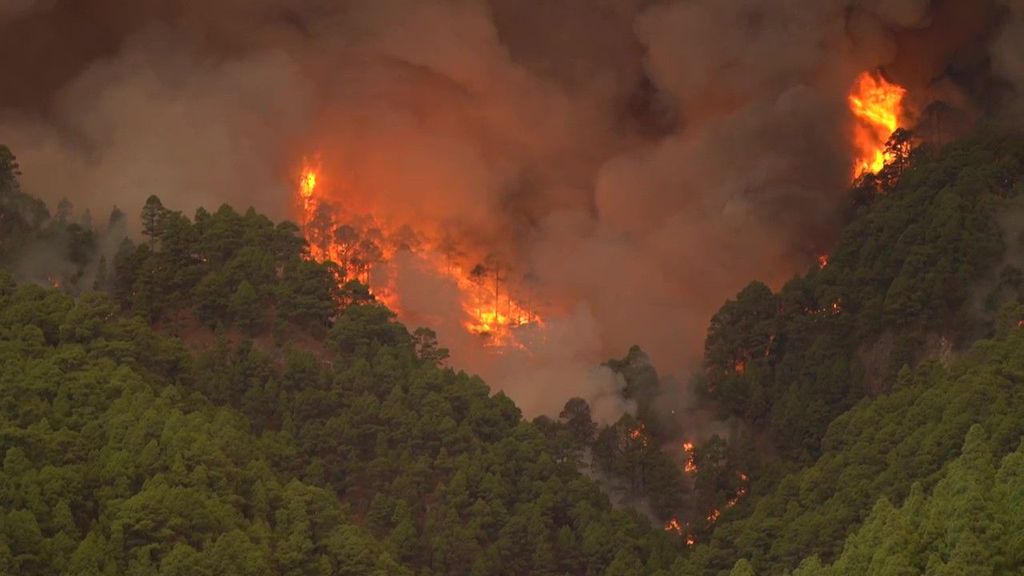 El incendio de Tenerife puede convertirse en el más devastador de este verano en España
