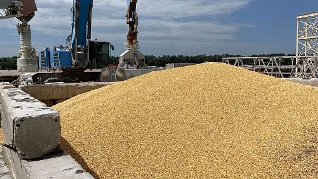 Granos almacenados en el puerto de Izmail, en el Danubio