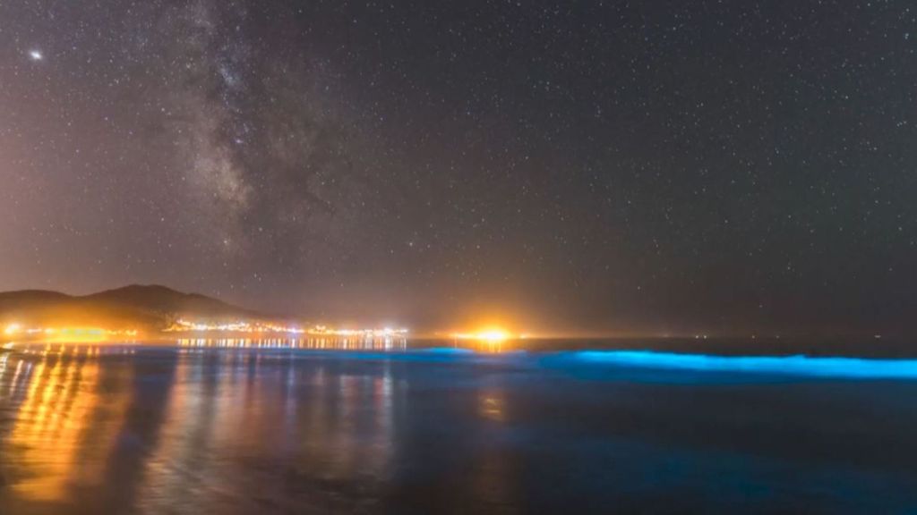 Mar de Ardora, el fenómeno natural que tiñe de azul eléctrico las costas gallegas