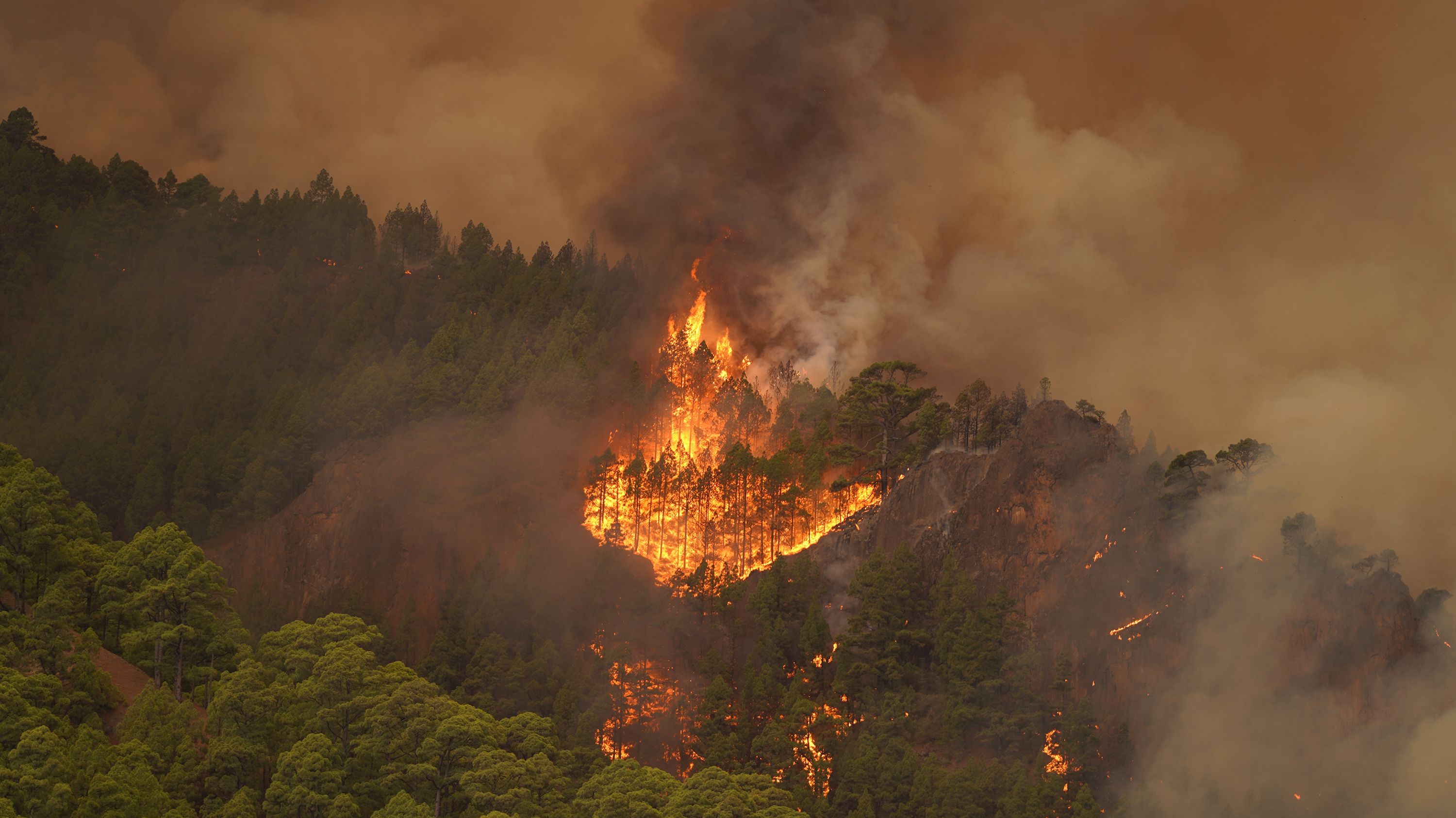 Impotencia y tristeza en Tenerife ante el avance sin control del incendio en Arafo: “Dan ganas de llorar”