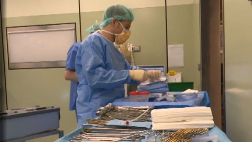 Logran trasplantar riñones de cerdo a un humano y que los órganos sean funcionales
