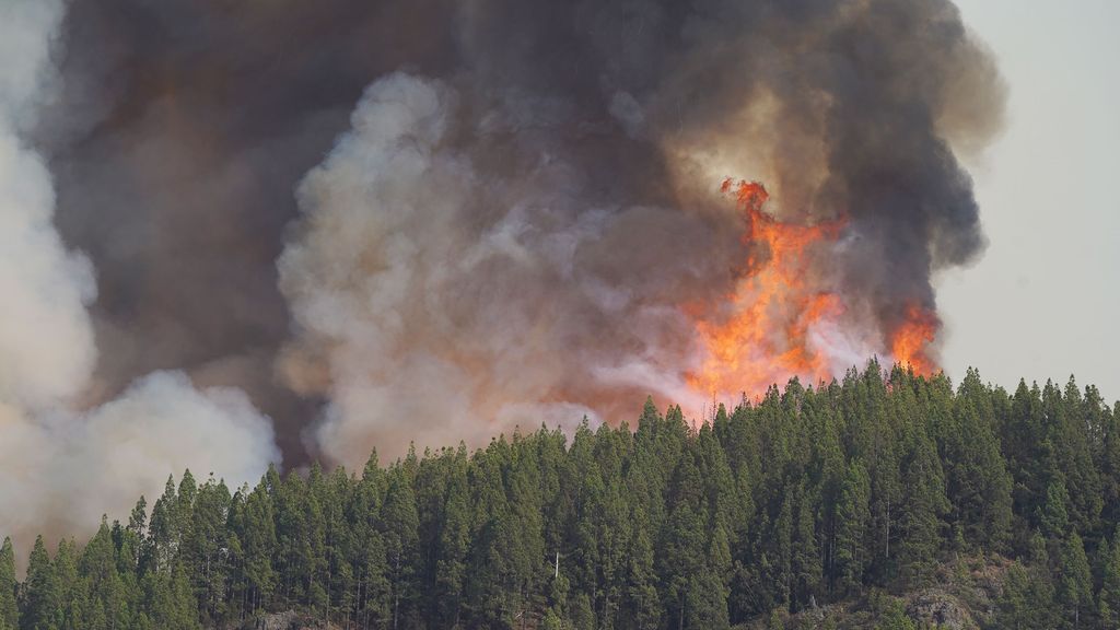 El incendio de Tenerife sigue avanzando sin control: 3.200 hectáreas arrasadas y más de 3.000 evacuados