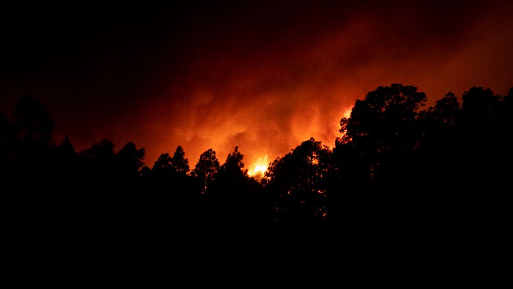 Incendio forestal en Tenerife: noche complicada a pesar de ralentizarse las llamas, hará más calor