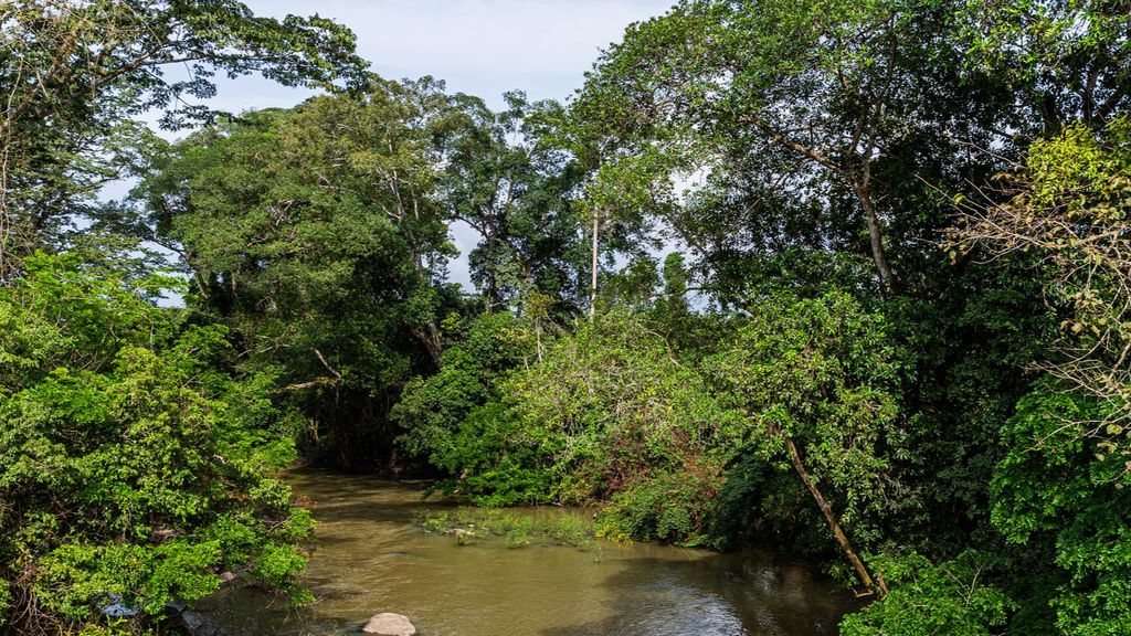 De cazadores furtivos a guardabosques en Nigeria