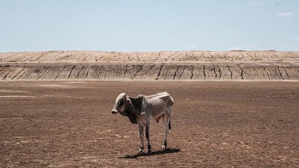 Una cuarta parte de la población mundial sufre el estrés hídrico extremo