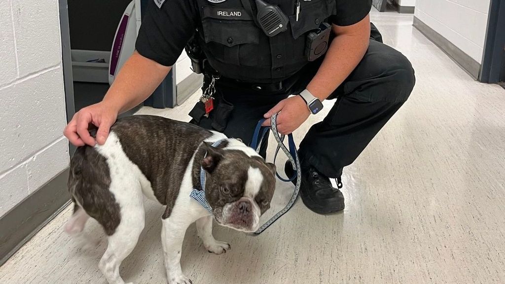 Perro policía Estados Unidos