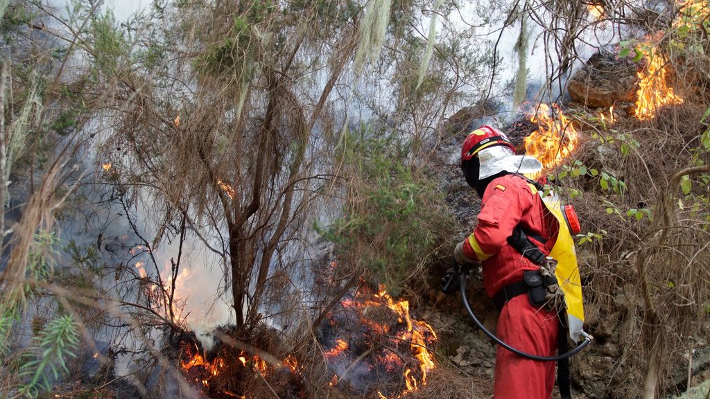 El incendio de Tenerife ya ha calcinado 11.600 hectáreas y continúa su avance en el norte de la isla