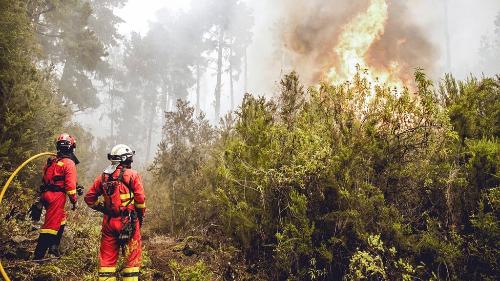 El presidente de Canarias confirma que el incendio de Tenerife ha sido provocado