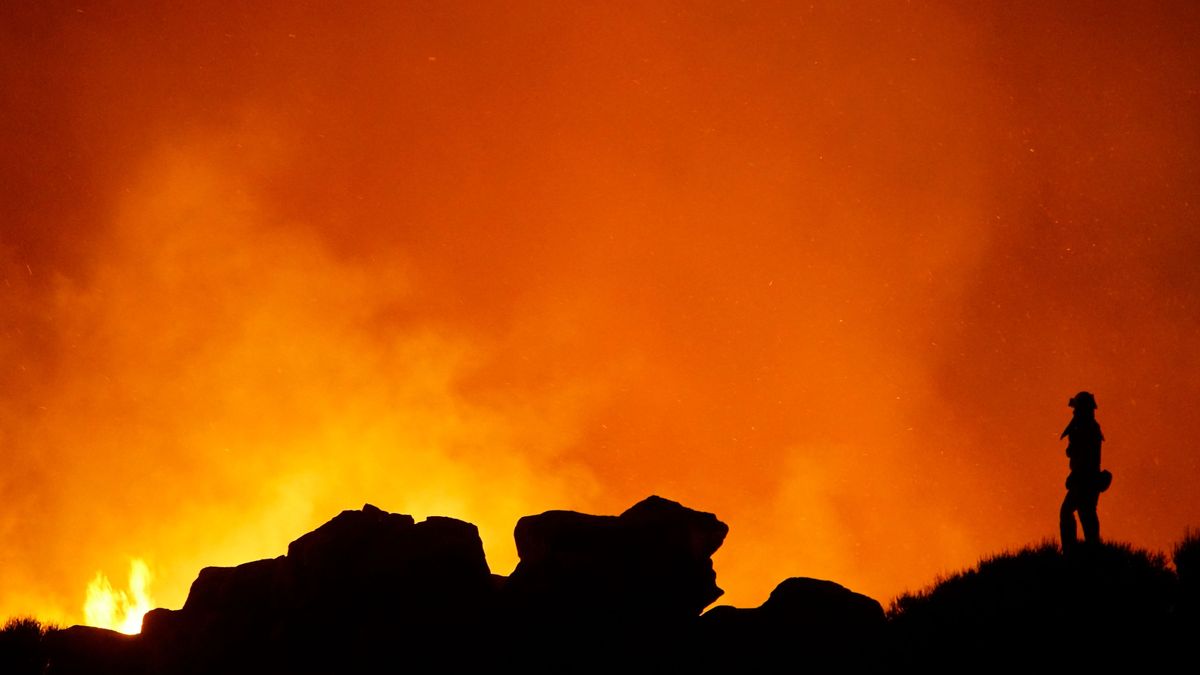 El fuego de Tenerife afecta a 12.800 hectáreas
