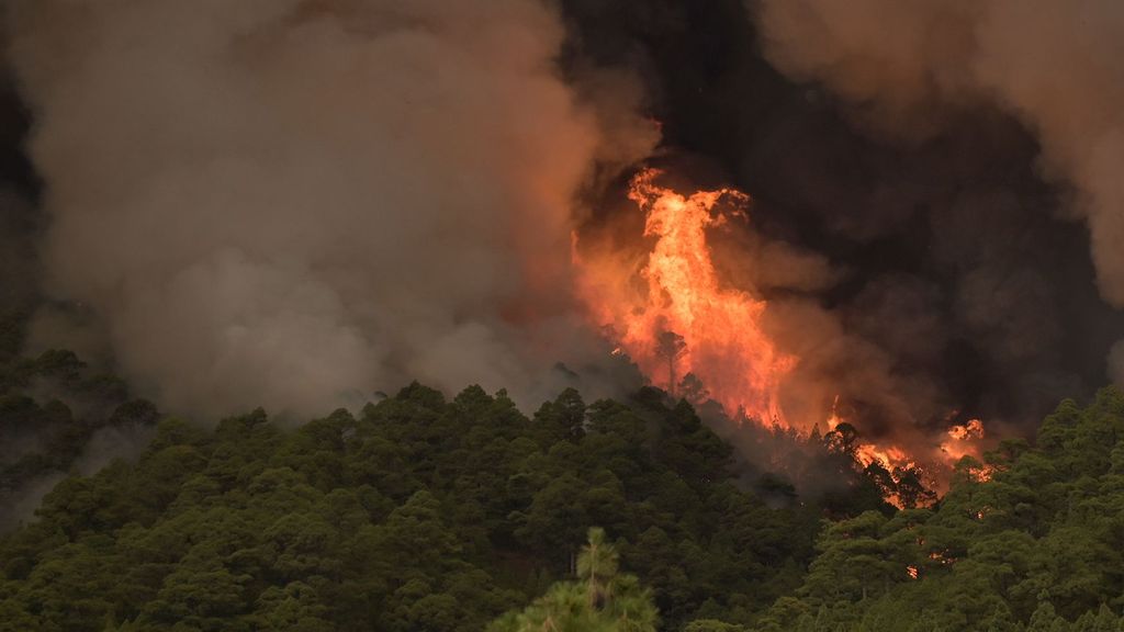 Incendio forestal en Tenerife: lo peor habría pasado, pero las llamas siguen fuera de control