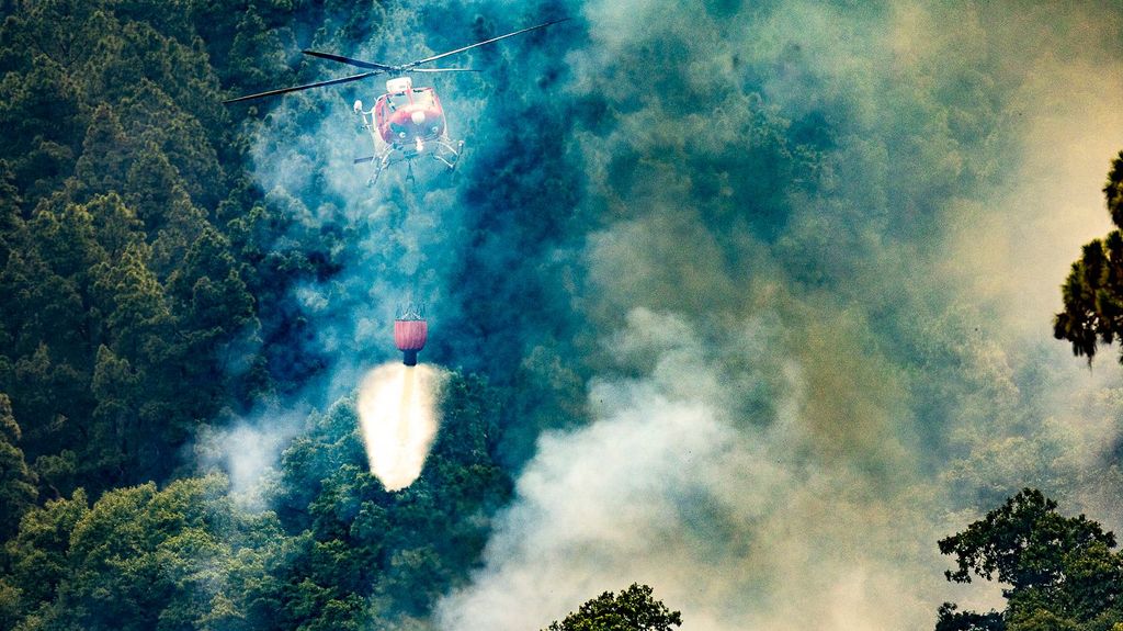 El viento da una tregua al incendio de Tenerife, que calcina ya casi 15 000 hectáreas: bomberos confían en perimetrarlo