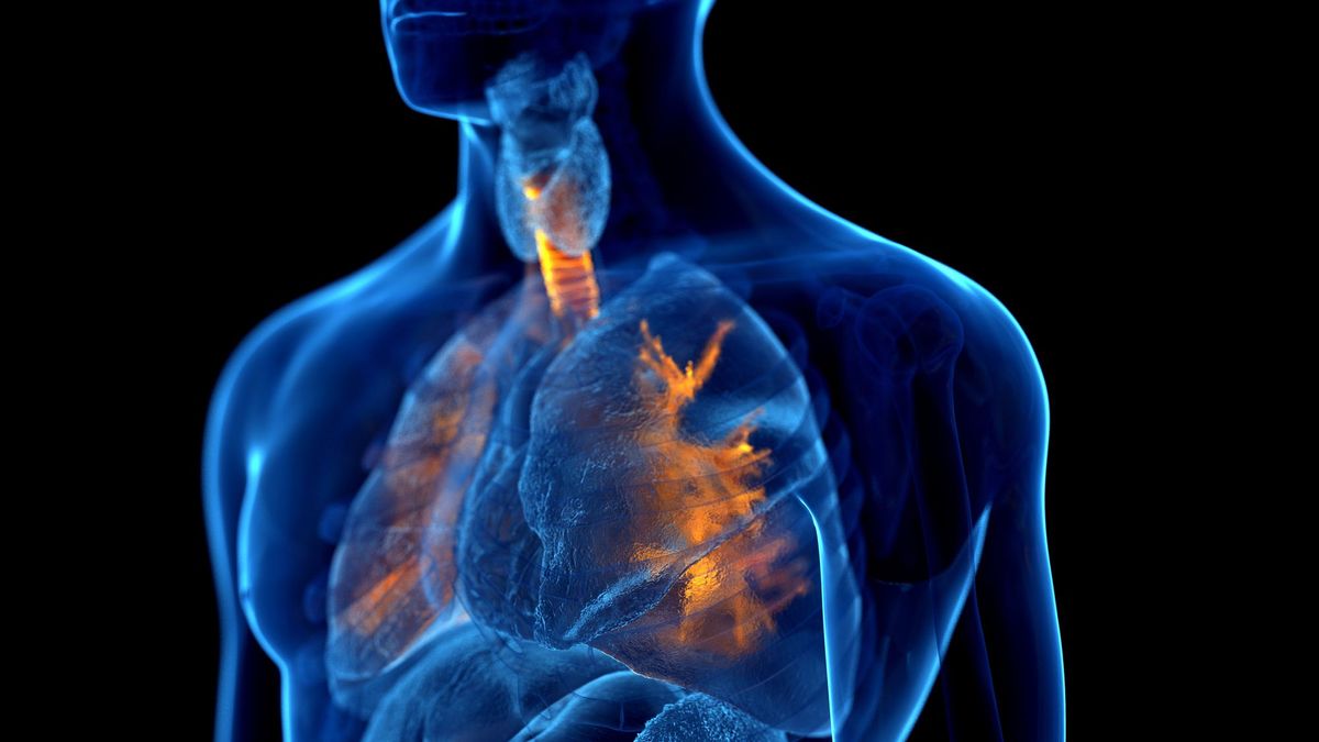 Descubren un nuevo método para injertar células artificiales en tejido pulmonar lesionado