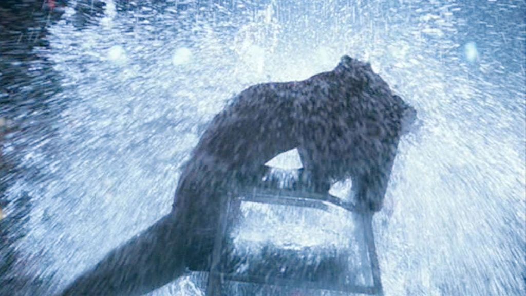 La escena del cubo del agua de ‘Flashdance’.