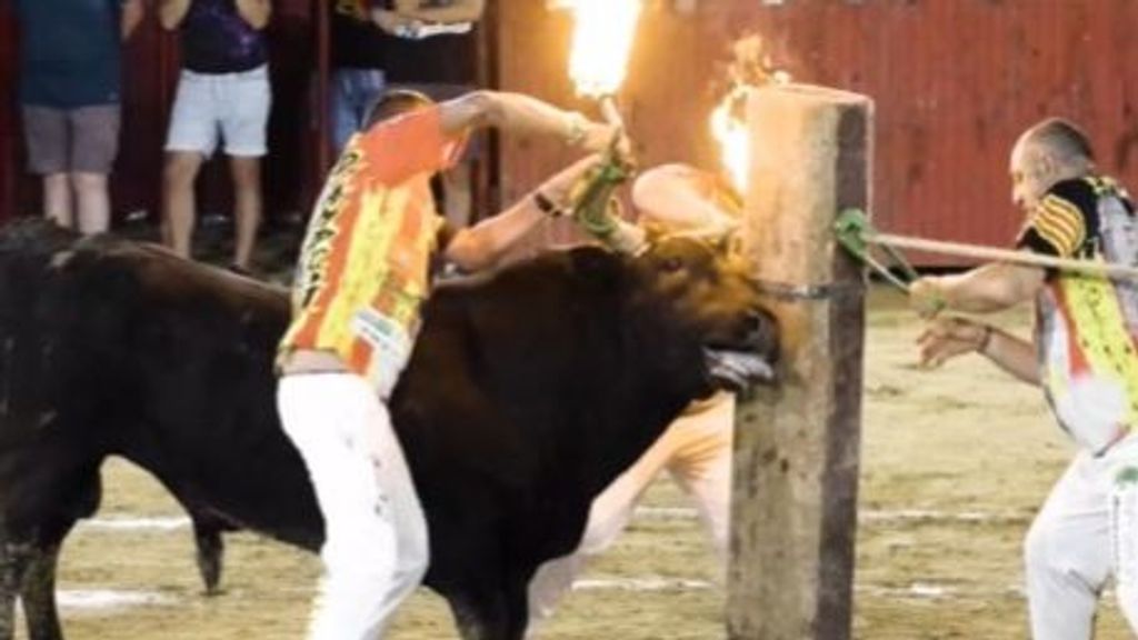 Toro embolado de Montserrat