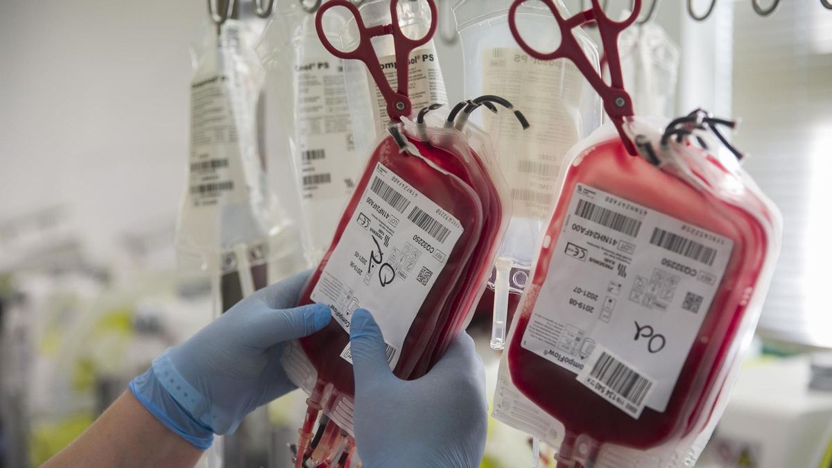 Bolsas de sangre donadas en Sevilla