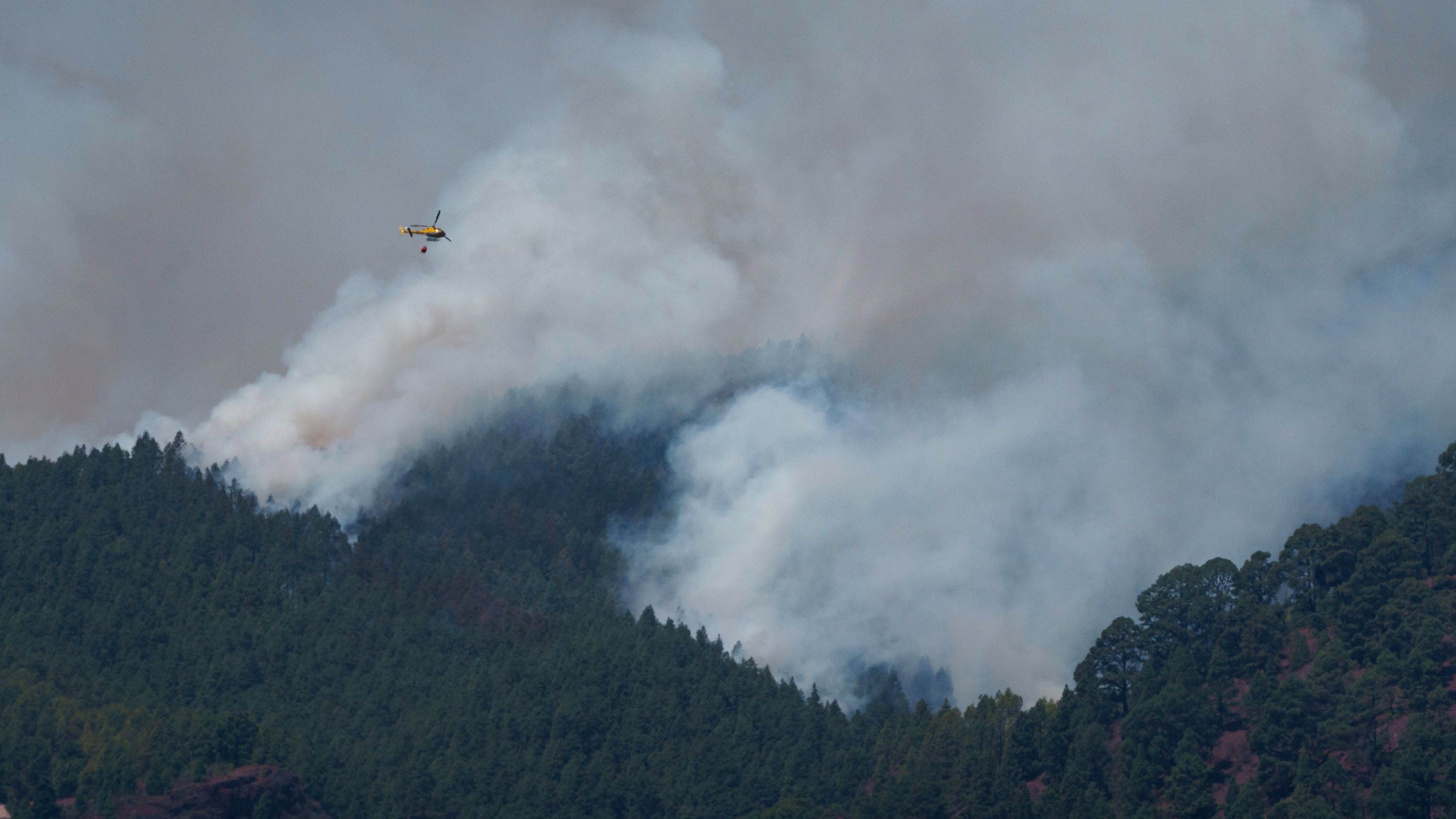 El incendio de Tenerife, el más complejo de extinguir en 40 años