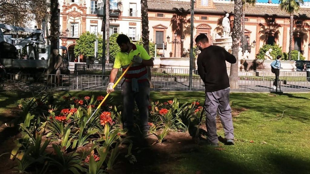 Imagen de recurso de operarios de un servicio de jardinería en zonas verdes de titularidad pública.