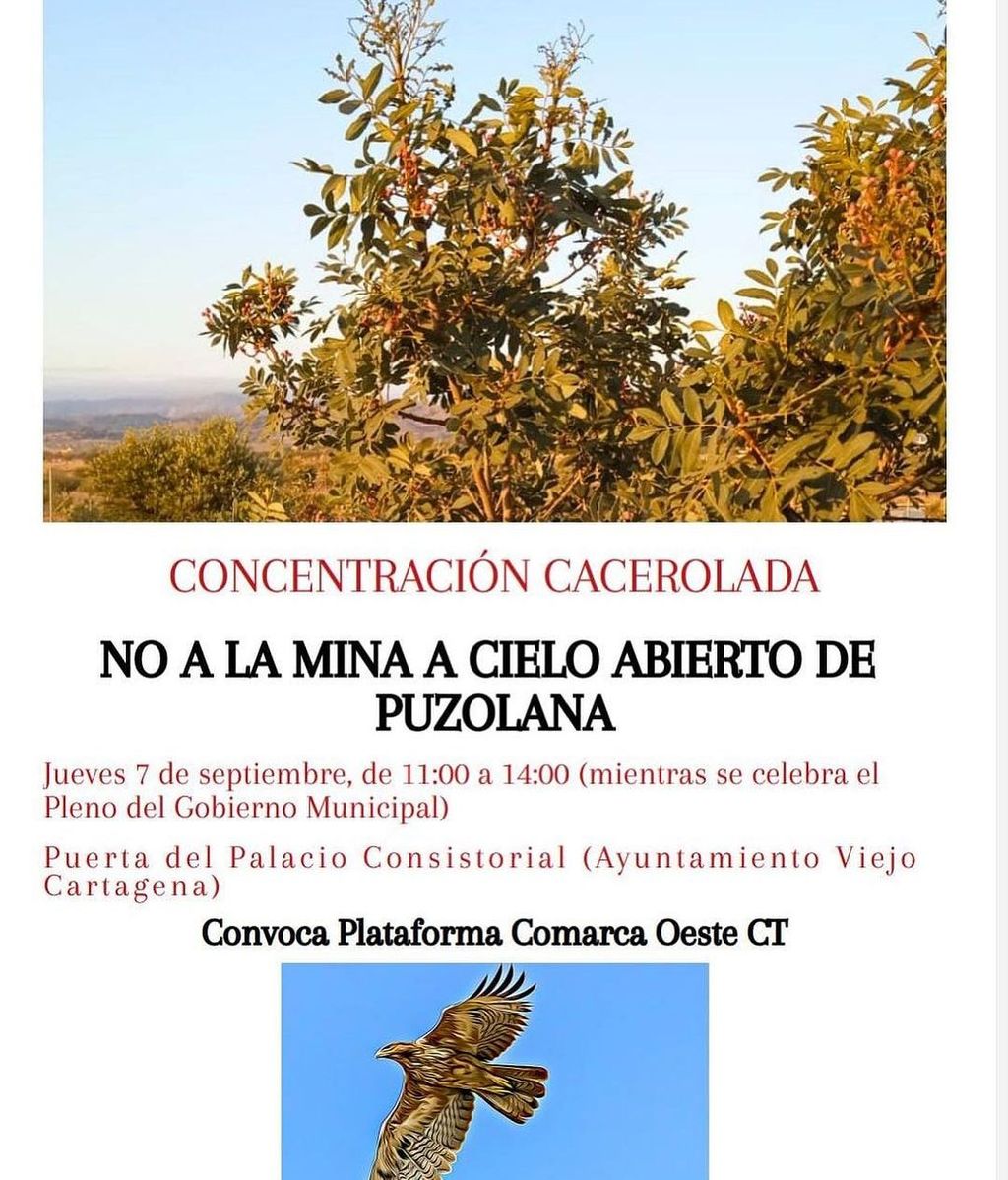 Los vecinos de Cartagena se manifestarán contra Cemex frente al Palacio Consistorial