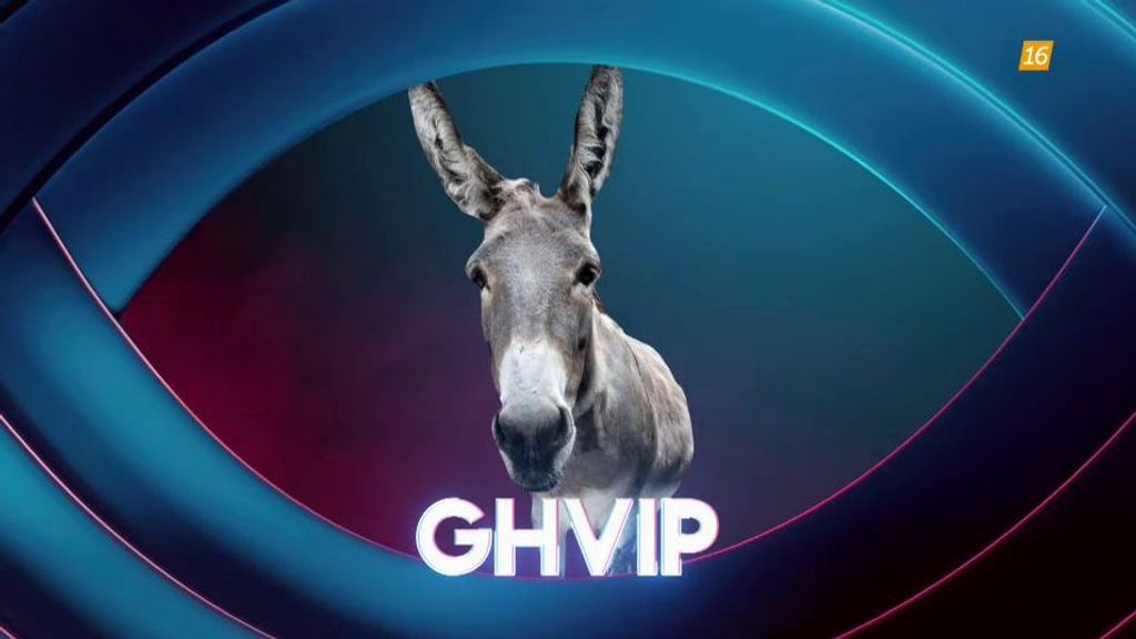 Un burro es una de las pistas.
