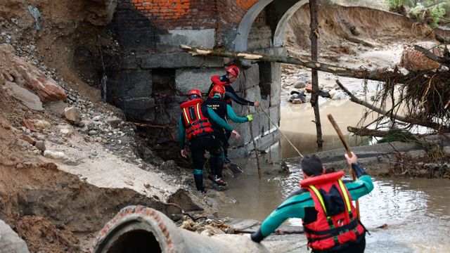 Los cadáveres hallados en Aldea del Fresno son de los desaparecidos por ...