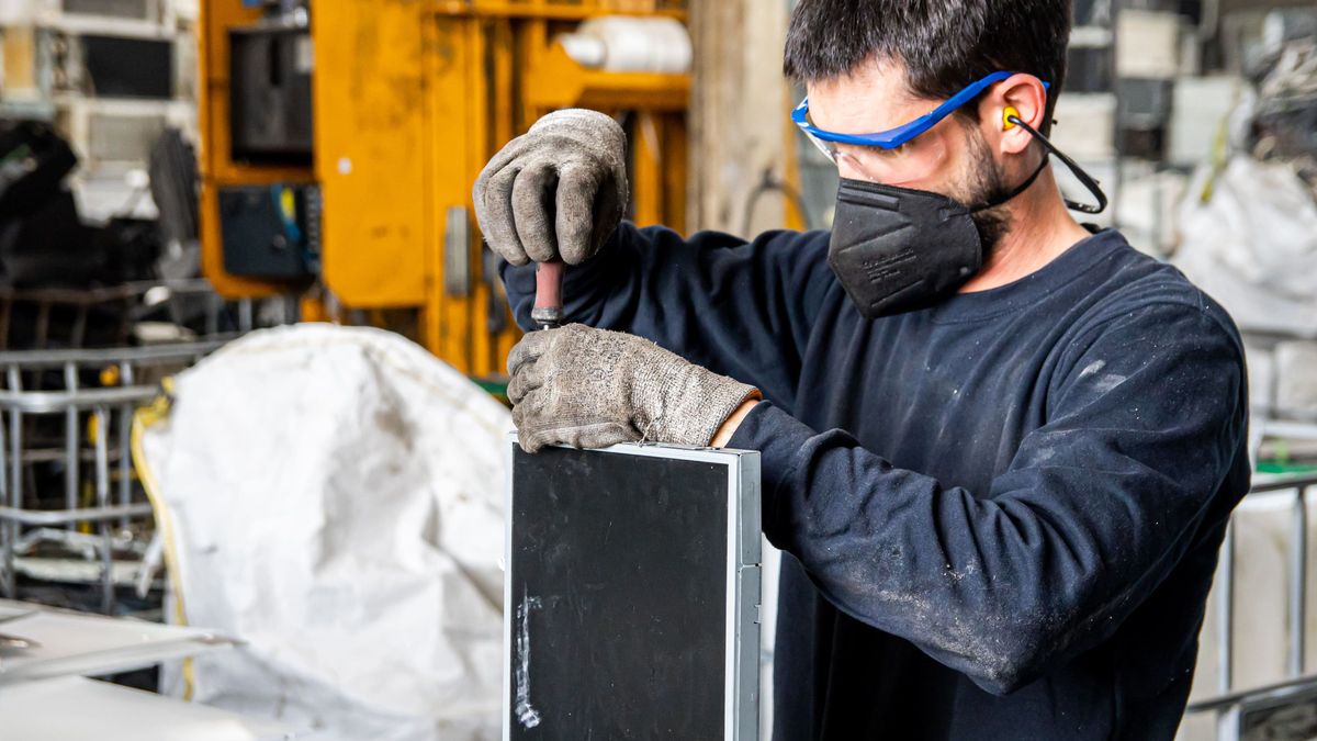 Movilex, de empresa familiar productora de espárrago blanco a líder del reciclaje de residuos