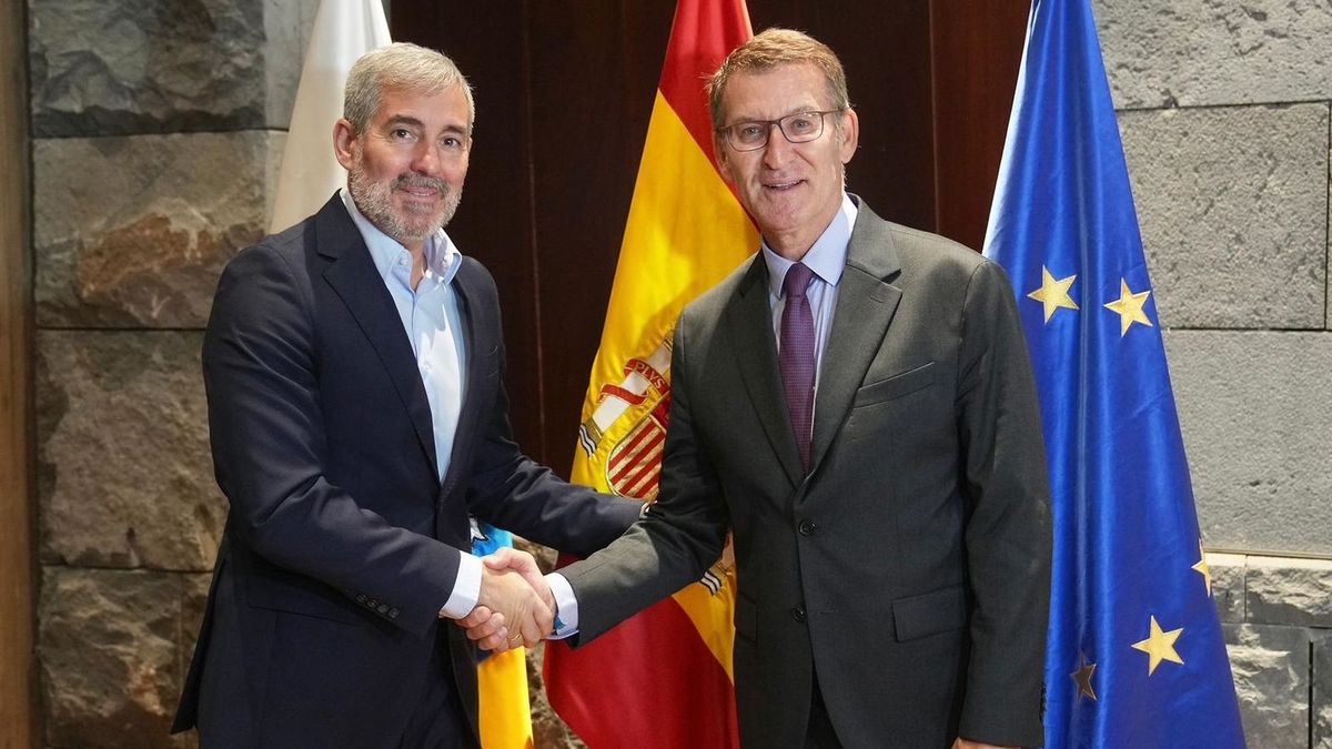 El presidente del PP, Alberto Núñez Feijóo, y el presidente de Canarias, Fernando Clavijo, en Santa Cruz de Tenerife El presidente del PP, Alberto Núñez Feijóo, y el presidente de Canarias, Fernando Clavijo, en Santa Cruz de Tenerife