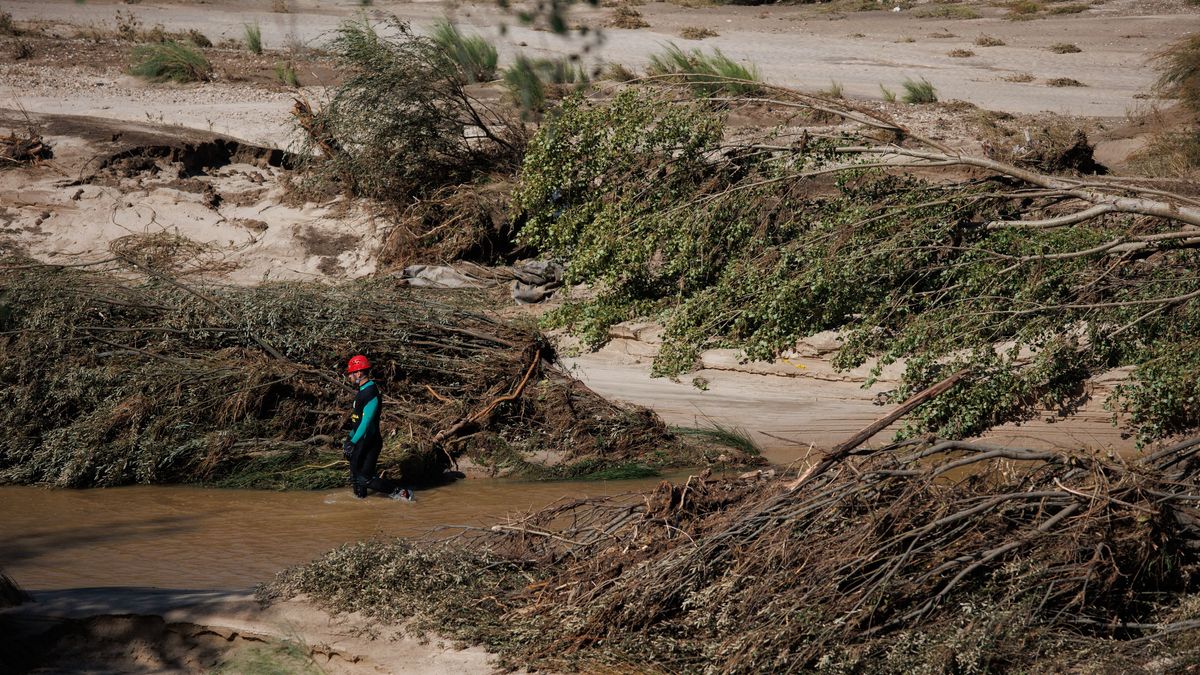 La carta de la madre de Izan, el niño que sobrevivió a la DANA encaramado a un árbol: "Gracias de corazón"